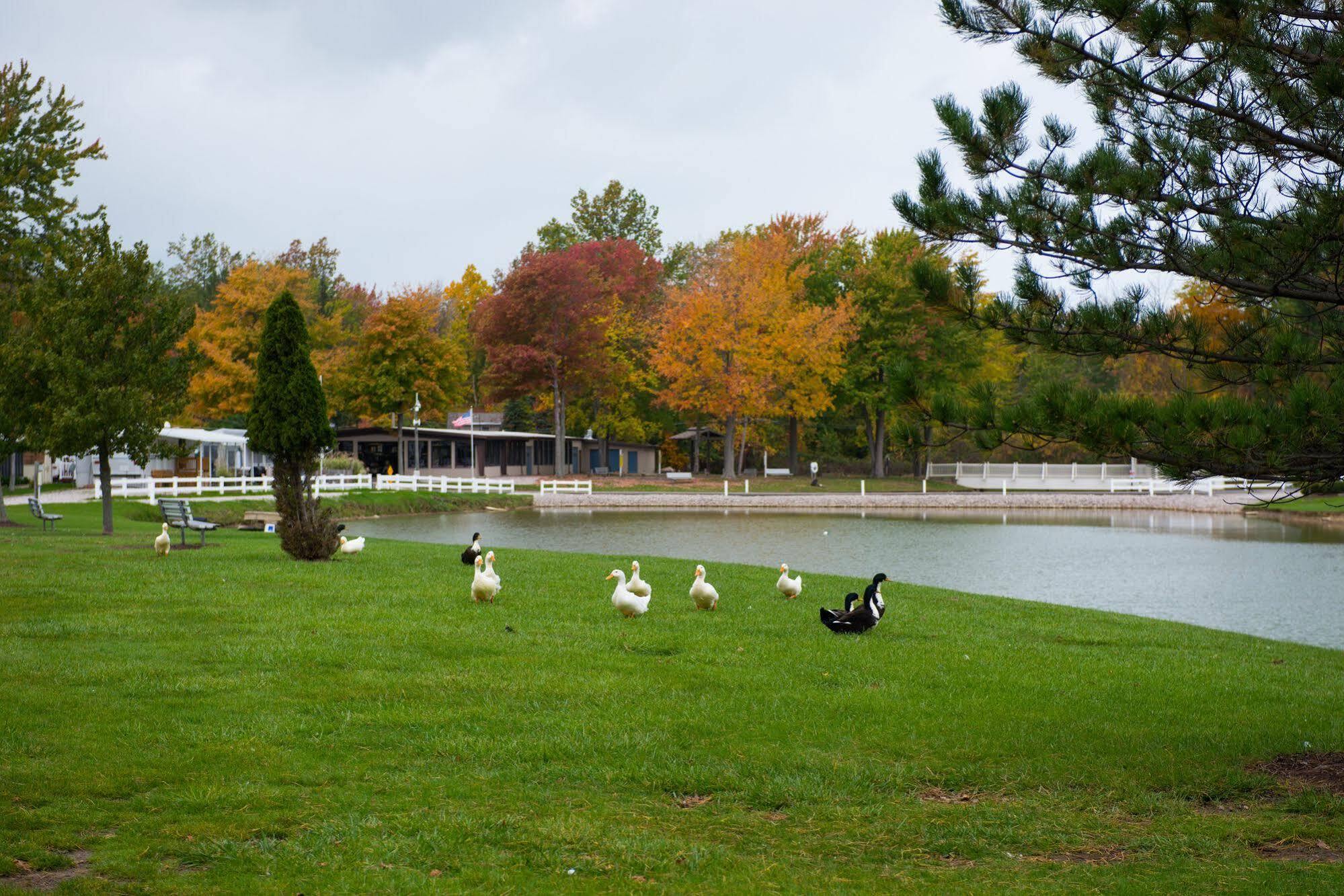 Sun Retreats Geneva On The Lake מראה חיצוני תמונה